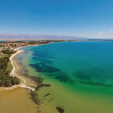 Pet Friendly In * Vir