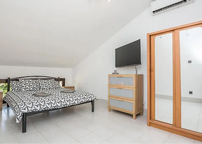 Pet Friendly In * Vir