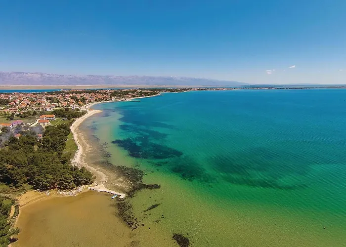 Pet Friendly In * Vir