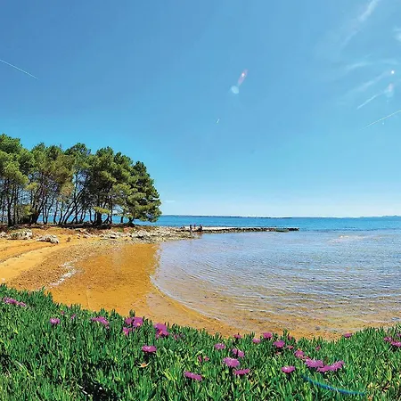 Vakantiehuis Pet Friendly In *