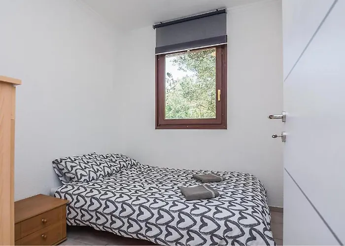 Pet Friendly In *