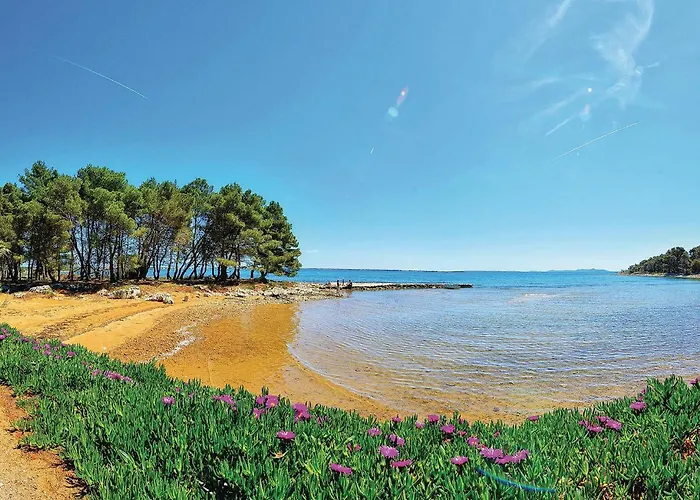 Vakantiehuis Pet Friendly In *
